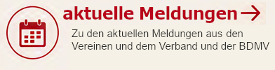 News lesen